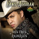 Cano Aguilar Autentico Paraiso De Durango - Mis Tres Animales