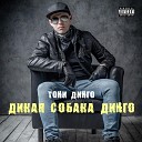 Тони Динго - Дикая собака Динго