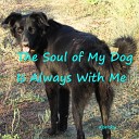 djselsky - The Soul of My Dog Is Always with Me