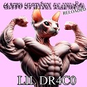 Lil Dr4c0 - Gato Sphynx Blind o Reloaded