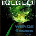 WenGe - Acoustic Dance