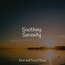 Serenity Spa Music Relaxation M sica para Relaxar Maestro Relaxation Sleep… - Relax
