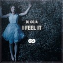 dj goja - cause im crazy original mix