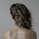 AMIMEA - Through The Years