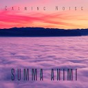 Summa Animi - A Noise Climbing Down