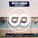 Notize feat Ashibah - You Won t Dapa Deep Remix