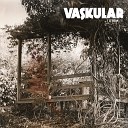 Vaskular - Fred