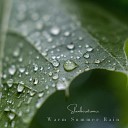 Slumberatronics - Warm Summer Rain 3