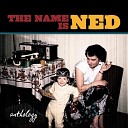 Handsome Ned - Never Had It so Good
