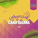 Cana Baiana - Nana M sica Incidental Primavera