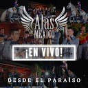 Mariachi Alas De Mexico - No Me Se Rajar En Vivo