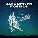 Awakened Fossils - Springtime Forest