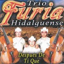 Trio Furia Hidalguense - Tus Palabras