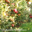 Steve Brassel - Calming Daytime Cider Mills Nature Ambience Pt…