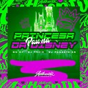 DJ FHZIN feat MC BF DJ Paqueta ZS - Pau na Princesa da Disney