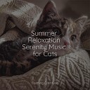Music For Cats Peace Calm Music for Cats Official Pet Care… - Tides of Delta Waves