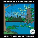 Dj Kosmas K Dj Stelios P - Trip To The Secret Jungle