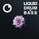 Dreazz - Liquid Drum Bass Sessions 52