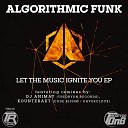 Algorithmic Funk - Let The Music Ignite You DJ Animay Remix