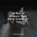 Music For Cats Peace Calm Music for Cats Official Pet Care… - Reiki Healing