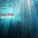 Sasha Darko - The Reflections of Seagull Echoes
