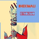 Bhekimali - Anna Thema