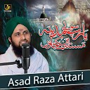 Asad Raza Attari - Ya Rab Soye Madina Mastana Ban Ke Jaun