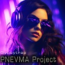 P N E V M A project - Gypsytrap