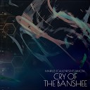 Markus Schulz Dakota - Cry of the Banshee
