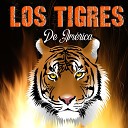 Los Tigres De America - Pienso en Ti