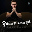 Радик Галиев - тм гомер