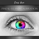 Chriss Aum feat Anysia Mysti - Pineal Gland Activation for Decalcify
