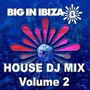 Big In Ibiza DJs - House DJ Mix Vol 2 Continuous DJ Mix