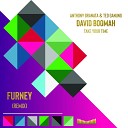 Anthony Granata Ted Ganung David Boomah - Take Your Time Furney Remix
