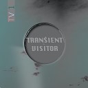 Transient Visitor - Stripped City