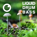 Dreazz - Liquid Drum Bass Sessions 2020 Vol 36