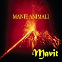 Mavit - Briller
