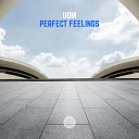 UDM - Perfect Feelings Extended Mix
