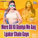 Sendatt Singh - Mere Dil Ki Duniya Me Aag Lgakar Chale Gaye