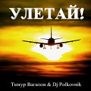 Тимур Вагапов feat Dj Polkovnik - Улетай Оригинал