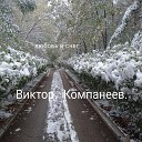 Виктор Компанеев - Я лечу