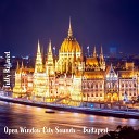 Steve Brassel - Open Window City Sounds Budapest Pt 20