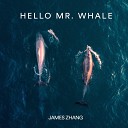 James Zhang - Hello Mr Whale