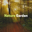 Nature sounds - Good Morning Nature Rain 2