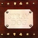 Stray Dog - A Letter