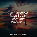 Tranquil Music Sound of Nature Exam Study Classical Music Orchestra Relaxing Sleep… - Fire