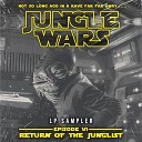 DJ Hybrid - War Inna Jungle