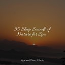 Best Relaxing SPA Music Alpha Waves Lullabies for Deep… - Inner Peace