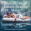 Sweet Dreams - Nature Healing Music