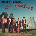 Los Palmeras - Amor Joven